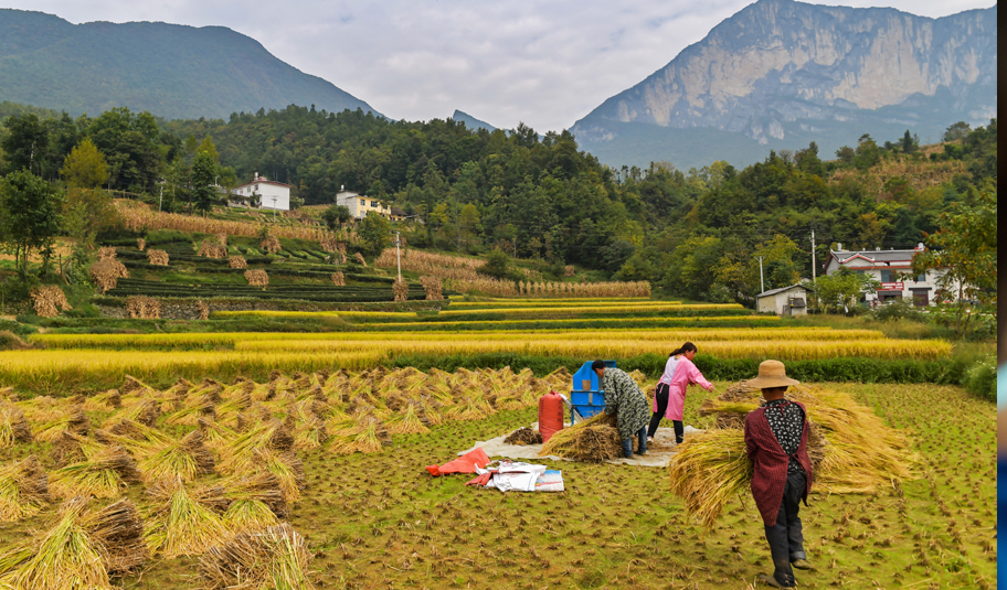 大学生推进健康扶贫五峰村拔病根奔小康