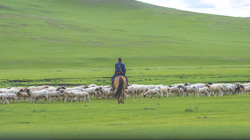 /timeweekly/uploads/image/2021/0621/1624272608577342/VCG41N1019134668.jpg VCG41N1019134668.jpg