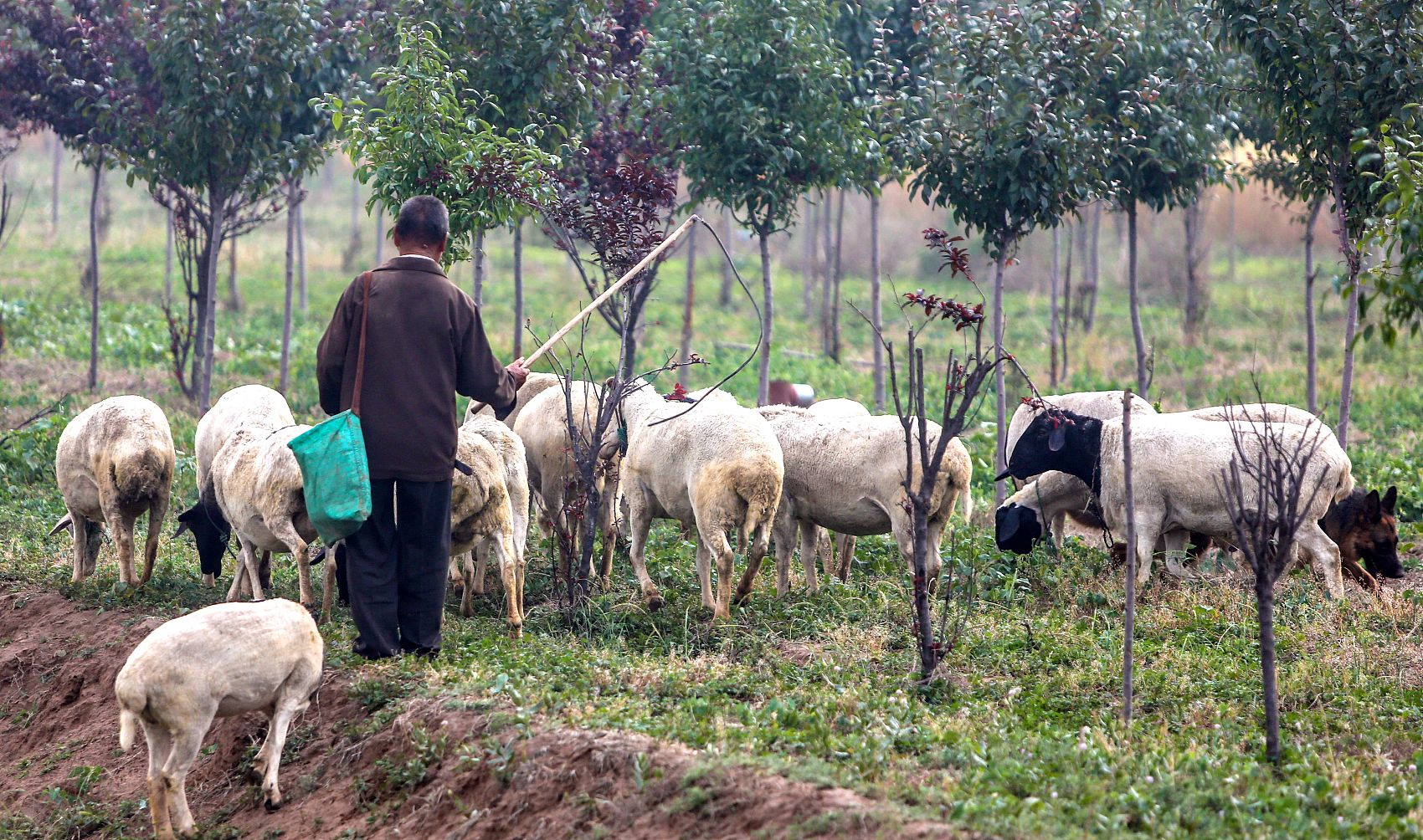 /timeweekly/uploads/image/2021/0621/1624272463101167/VCG111332808655.jpg VCG111332808655.jpg