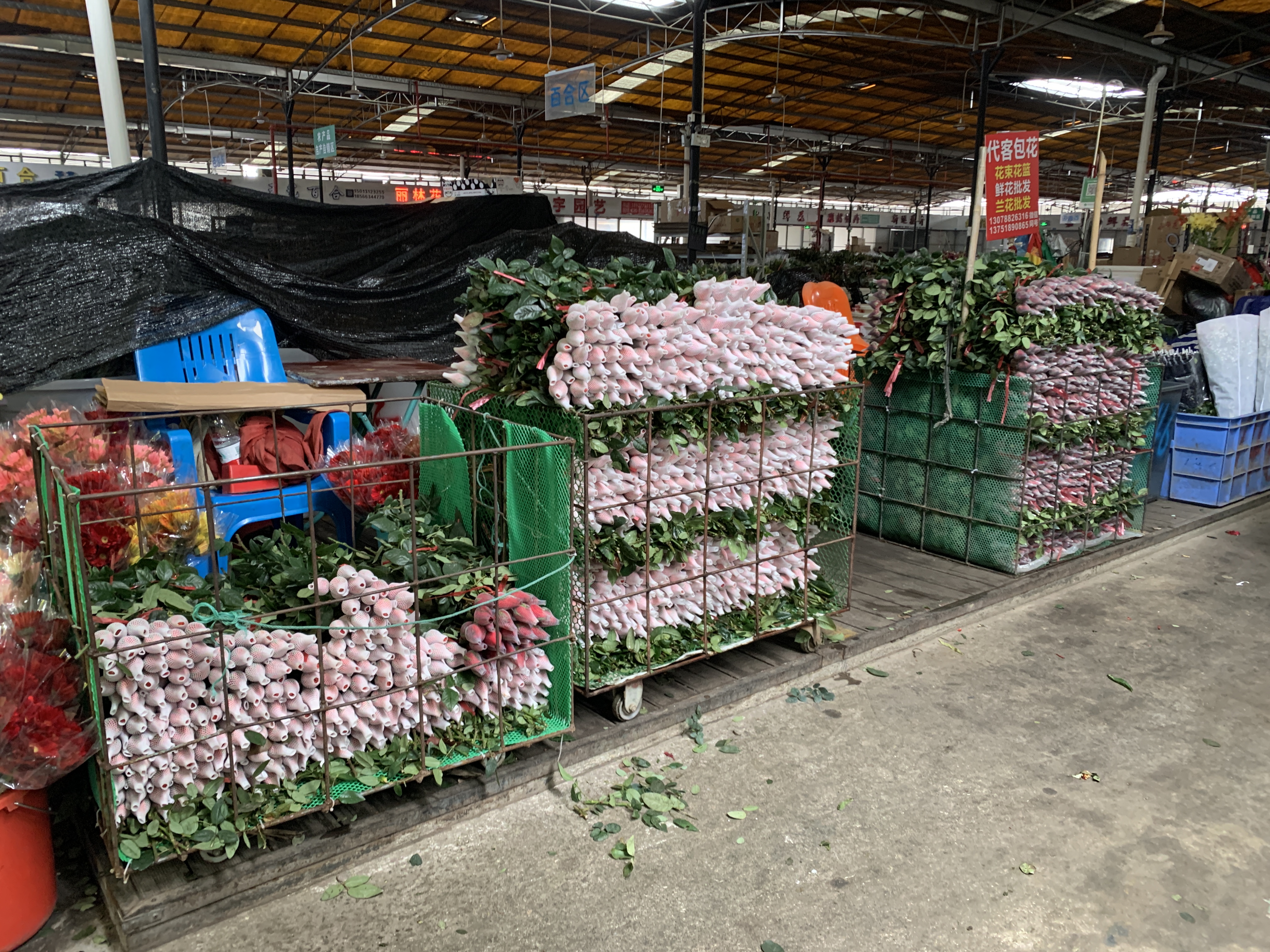 /timeweekly/uploads/image/2022/0212/1644596178762414/2.jpeg 2.jpeg