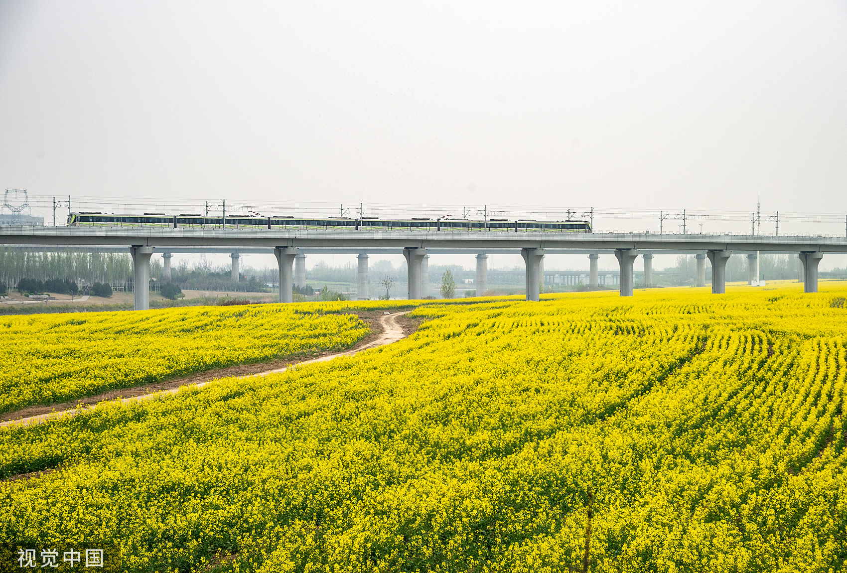 VCG111375662183.jpg
