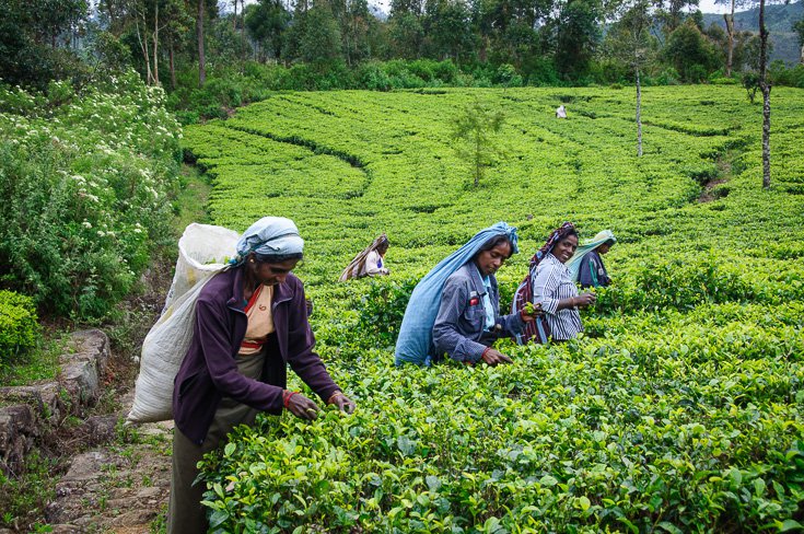 /timeweekly/uploads/image/2022/0408/1649408976368062/微信图片_20220408162932.jpg 微信图片_20220408162932.jpg